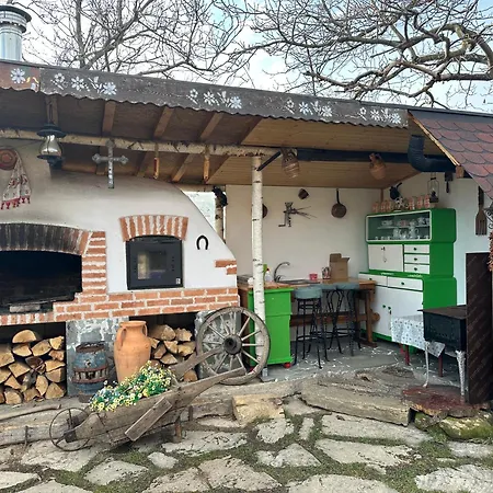 Casa Cezara 民宿 Silvasu de Jos