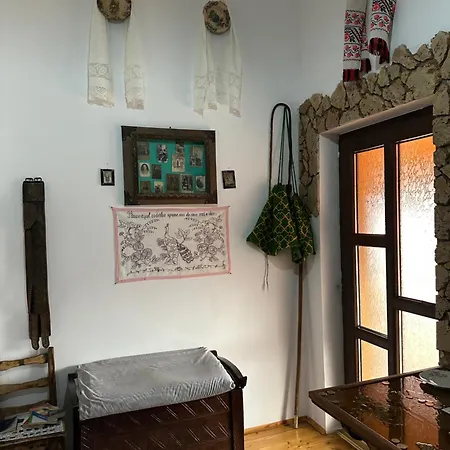 Casa Cezara Silvasu de Jos