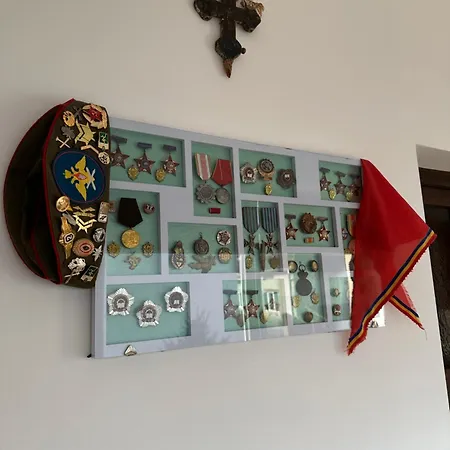 Casa Cezara * Silvasu de Jos